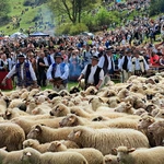 Błogosławieństwo owiec w Jaworkach