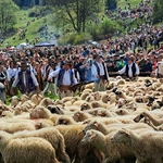 Błogosławieństwo owiec w Jaworkach