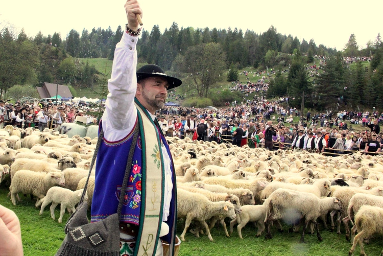 Owczarnia Pana Boga i baców