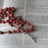 Czytaj Biblię z Wiara.pl