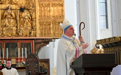  Homilia była poświęcona  Bożej Rodzicielce.