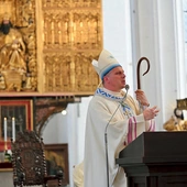  Homilia była poświęcona  Bożej Rodzicielce.