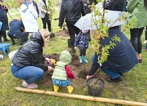 Drzewka sadzili pracownicy DFOŻ, przedstawiciele władz, dziennikarze, a także całe rodziny.