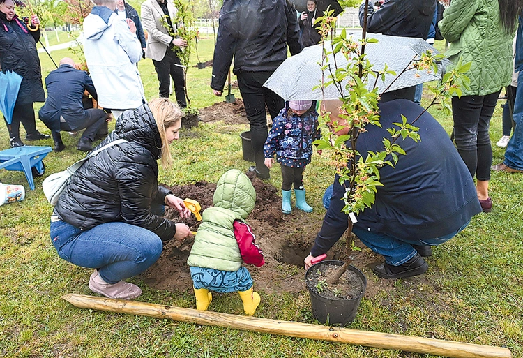 Drzewka sadzili pracownicy DFOŻ, przedstawiciele władz, dziennikarze, a także całe rodziny.