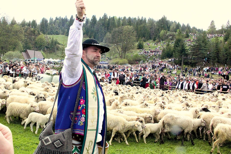 Ks. Kasper Bernasiewicz uważa, że przyglądając się pasterstwu, lepiej rozumie się przypowieści Pana Jezusa.