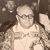  Ks. Józef Czapran Urodził się w 1893 roku, a zmarł w roku 1972. Jest pochowany na cmentarzu komunalnym w Gorzowie Wlkp. „Dziś wiem, że ks. Josef Czapran zmarł w 1972 roku, gdy miałem trzydzieści lat. Gdybym o nim wiedział, opłakiwałbym jego śmierć, ale nie zrobiłem tego. Zamiast tego dzisiaj celebruję jego życie, hojność i odwagę” – powiedział Andrew Jampoler w Instytucie Pamięci Męczenników i Bohaterów Holocaustu – Yad Vashem 4 lipca 2022 roku.