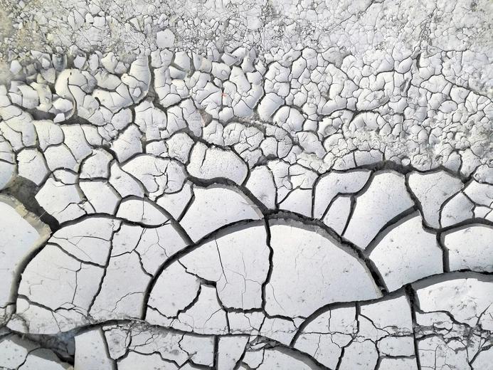 Czy możemy zatrzymać suszę? Jest na to szansa, ale po latach zaniedbań czeka nas mnóstwo pracy