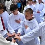 Diecezjalna Pielgrzymka Służby Liturgicznej Ołtarza do Rokitna