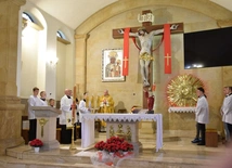 Seminaryjna Niedziela Dobrego Pasterza w diecezji radomskiej