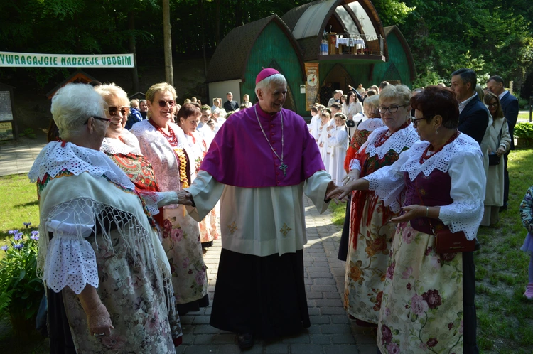 Ziemia rybnicko-wodzisławska w jankowickiej Studzience