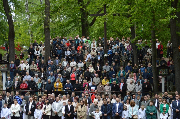Ziemia rybnicko-wodzisławska w jankowickiej Studzience