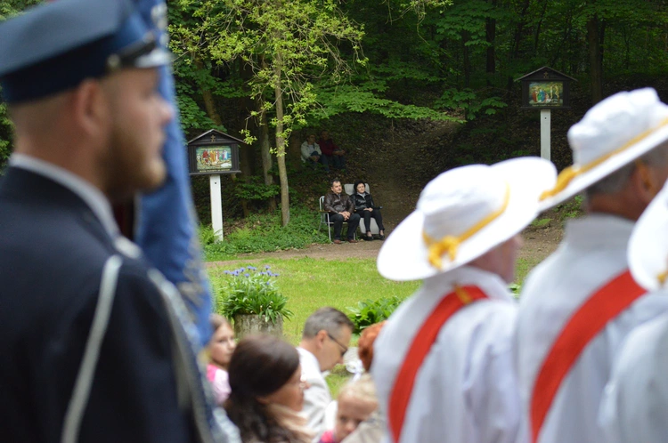 Ziemia rybnicko-wodzisławska w jankowickiej Studzience