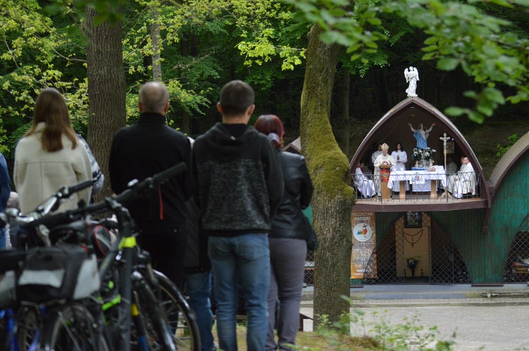 Ziemia rybnicko-wodzisławska w jankowickiej Studzience