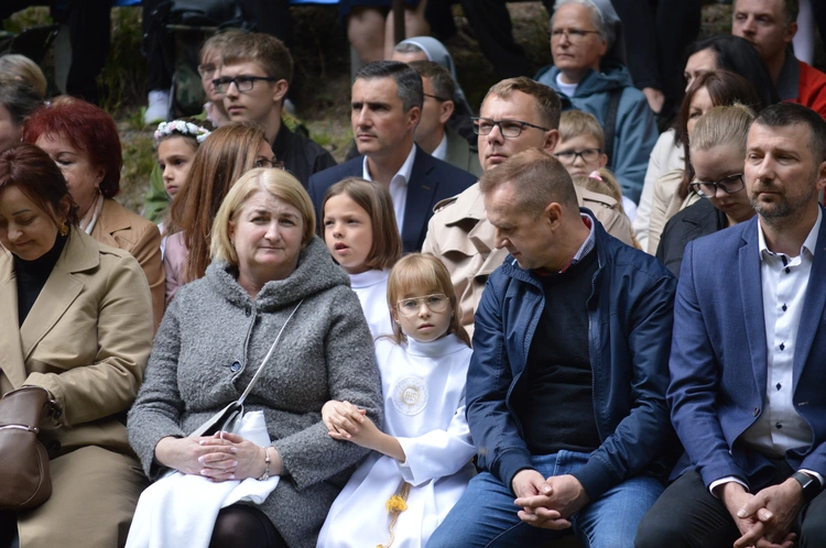 Ziemia rybnicko-wodzisławska w jankowickiej Studzience