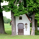 Na górze Tabor w Trzetrzewinie