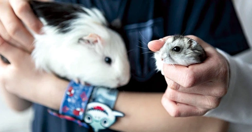 "Mamo, wiem, że jestem zdrowa!" Alicja w krainie… cudów