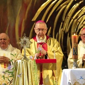 „Relikwie świętego znajdujące się w kościele oraz jego obraz otaczane są szczególną czcią wiernych. Szczególną formą modlitwy w tym miejscu jest też wieczysta adoracja Najświętszego Sakramentu” – napisał biskup płocki w specjalnym dekrecie.