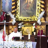 Przed secymińskim obrazem Maryi wyproszono wiele cudów, w tym trzy spektakularne, dotyczące zdrowia. Matka Boża nazywana jest tu też Błękitną Rzeką, Złotą Polaną, Lipą Pachnącą, Wierzbą Przydrożną czy Jaskółek Matką.