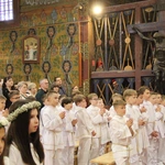 Skrzyszów. Poświęcenie odnowionej kapliczki i reaktywacja ASHNSPJ