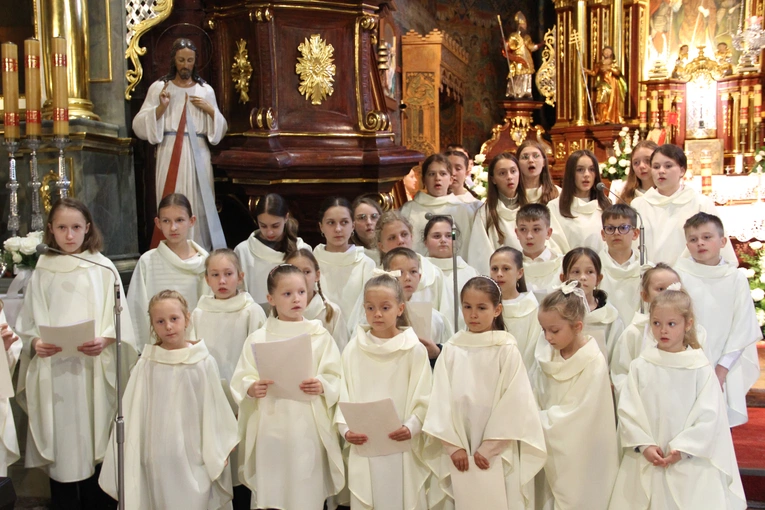 Skrzyszów. Poświęcenie odnowionej kapliczki i reaktywacja ASHNSPJ