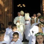Skrzyszów. Poświęcenie odnowionej kapliczki i reaktywacja ASHNSPJ