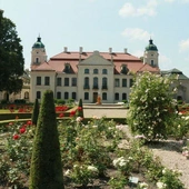 Brak tytułu