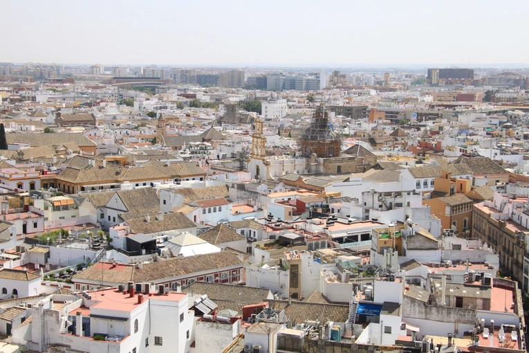 Jest w czym wybierać...