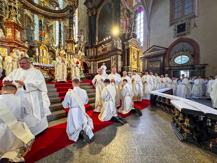 Święcenia prezbiteratu w Świdnicy