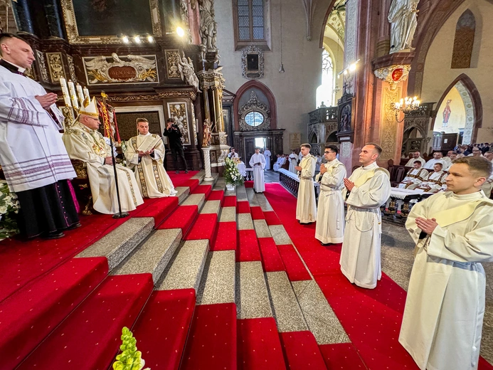 Święcenia prezbiteratu w Świdnicy
