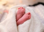Watykan: nowy prezes Akademii Życia