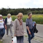XII Diecezjalna Pielgrzymka Kobiet - wędrówka