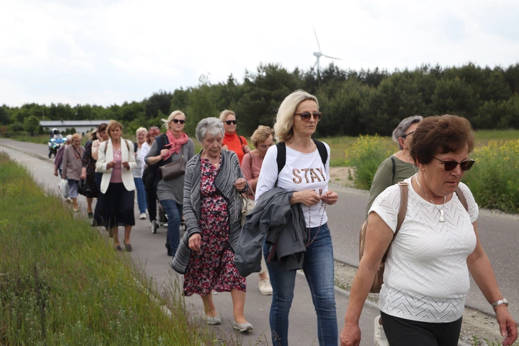 XII Diecezjalna Pielgrzymka Kobiet - wędrówka