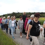 XII Diecezjalna Pielgrzymka Kobiet - wędrówka
