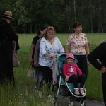 XII Diecezjalna Pielgrzymka Kobiet - wędrówka