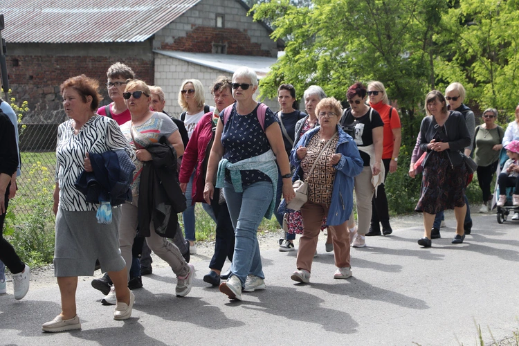XII Diecezjalna Pielgrzymka Kobiet - wędrówka