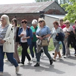 XII Diecezjalna Pielgrzymka Kobiet - wędrówka