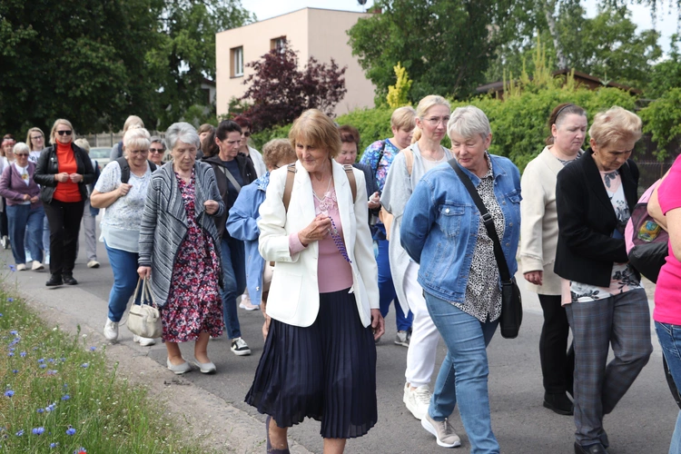 XII Diecezjalna Pielgrzymka Kobiet - wędrówka