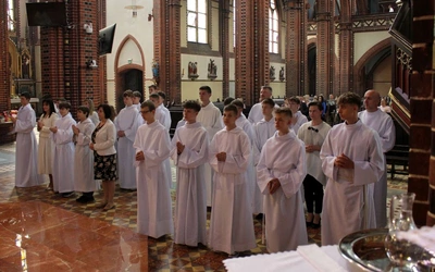 Ustanowienie nowych lektorów