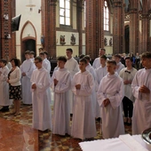 Ustanowienie nowych lektorów