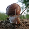 Więcej szczęścia
