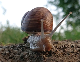 Więcej szczęścia