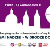 Pielgrzymi nadziei. Nadzwyczajni szafarze Komunii św. spotkają się w Płocku