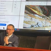Chorzów. Krzysztof Tokarek: Estakada może ulec katastrofie nawet bez obciążenia