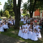 Do serca Maryi Matki