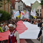 Marsz dla Życia i Rodziny w Żarach
