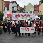 Marsz dla Życia i Rodziny w Żarach