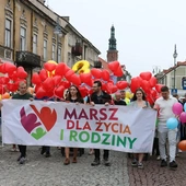 Barwny korowód przeszedł ulicami Radomia.