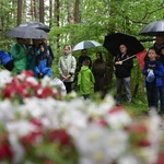 U powstańców na Piekarskiej Górze