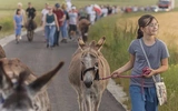 Wyrusz w drogę szlakiem Pani w Słońcu
