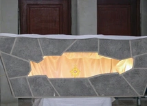 Carlo Acutis wciąż działa